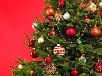 L&rsquo;albero di Natale trasportato in modo creativo [Video]