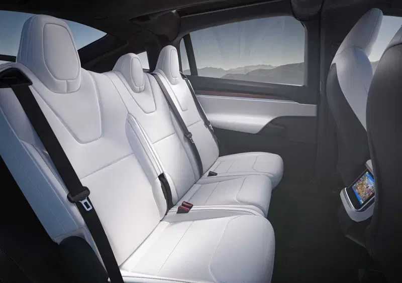 Tesla Model X (2016-26) (21)