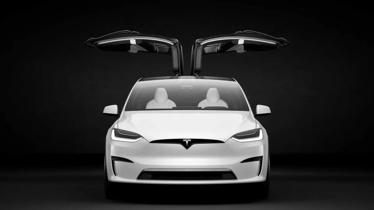 Tesla Model X Model X 90kWh Dual Motor Performance (9)