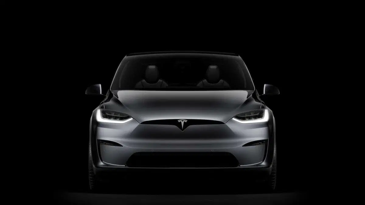 Tesla Model X Model X 90kWh Dual Motor Performance (10)