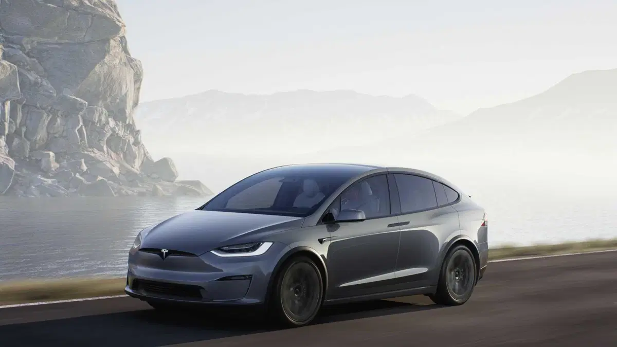 Tesla Model X Model X 90kWh Dual Motor Performance (3)