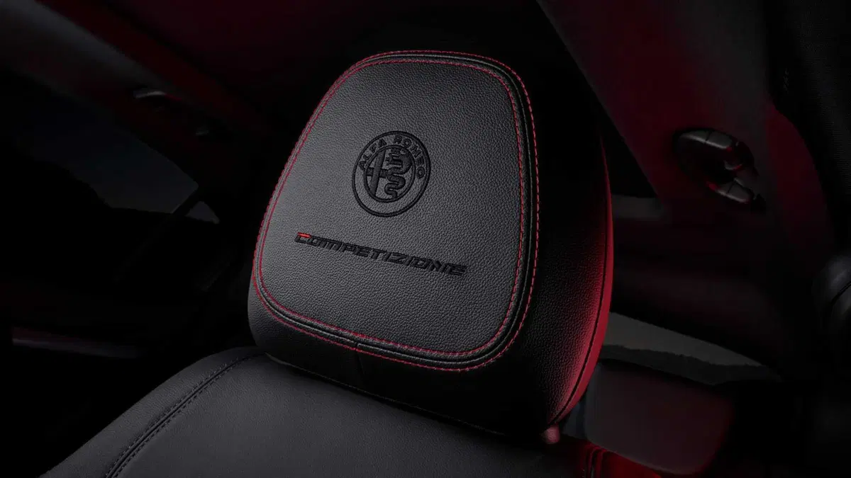 Alfa Romeo Stelvio Stelvio 2.2 Turbodiesel 190 CV AT8 Q4 Business (15)
