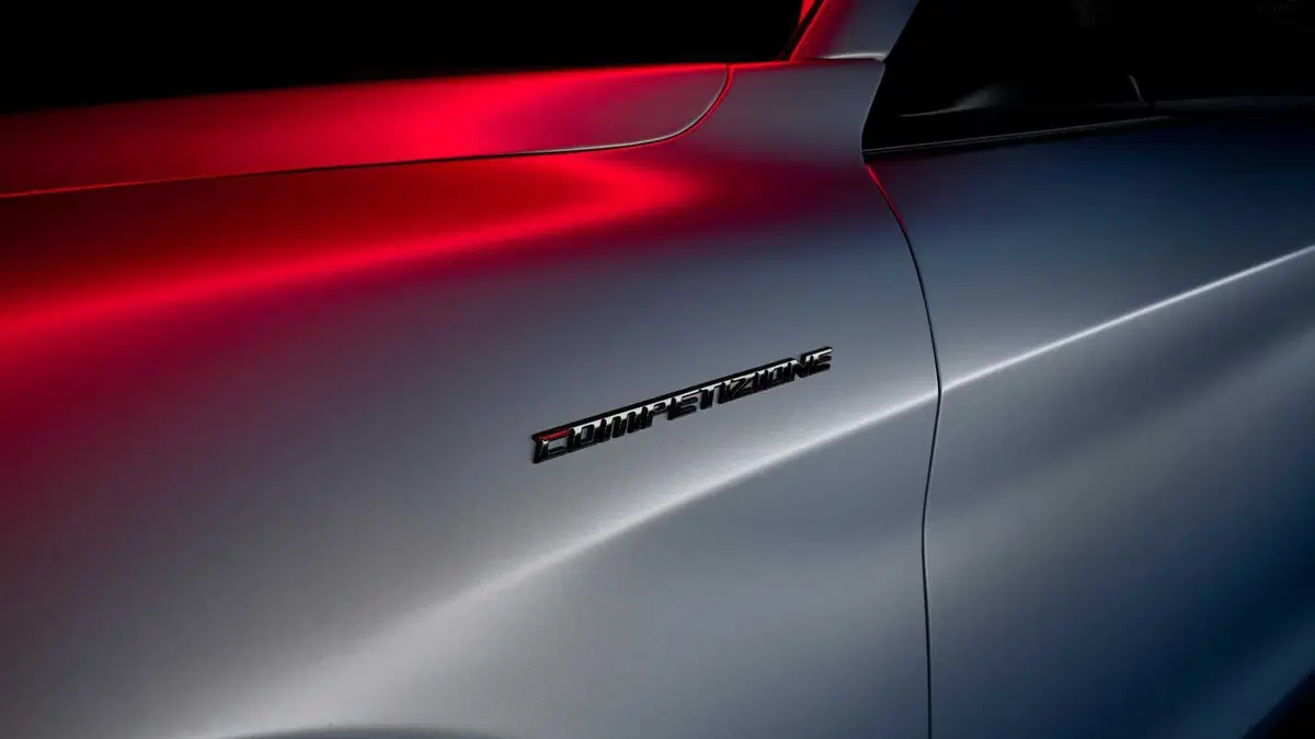 Alfa Romeo Stelvio Stelvio 2.2 Turbodiesel 190 CV AT8 Q4 Business (12)