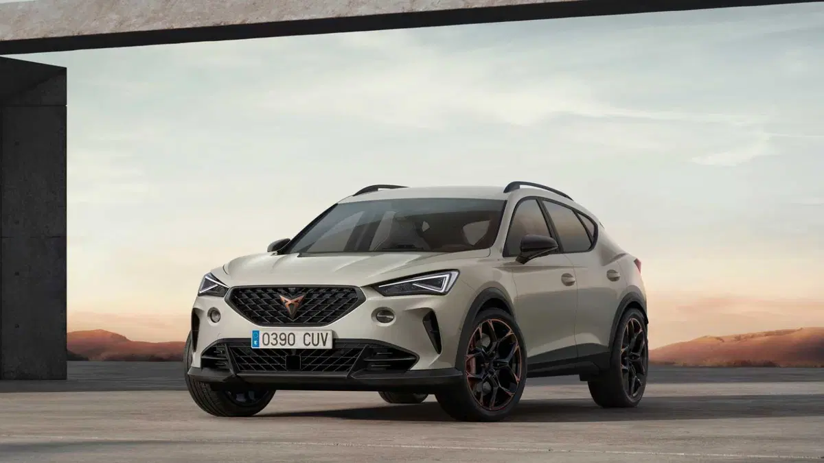 Cupra Formentor Formentor 1.4 e-hybrid Tribe Edition 204cv dsg (22)