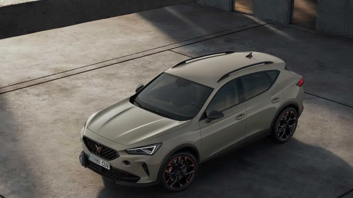 Cupra Formentor Formentor 1.4 e-hybrid Tribe Edition 204cv dsg (23)