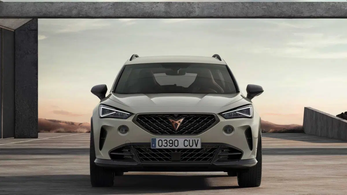 Cupra Formentor Formentor 1.4 e-hybrid Tribe Edition 204cv dsg (24)