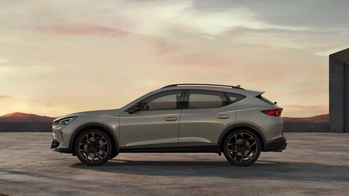 Cupra Formentor Formentor 1.4 e-hybrid Tribe Edition 204cv dsg (25)