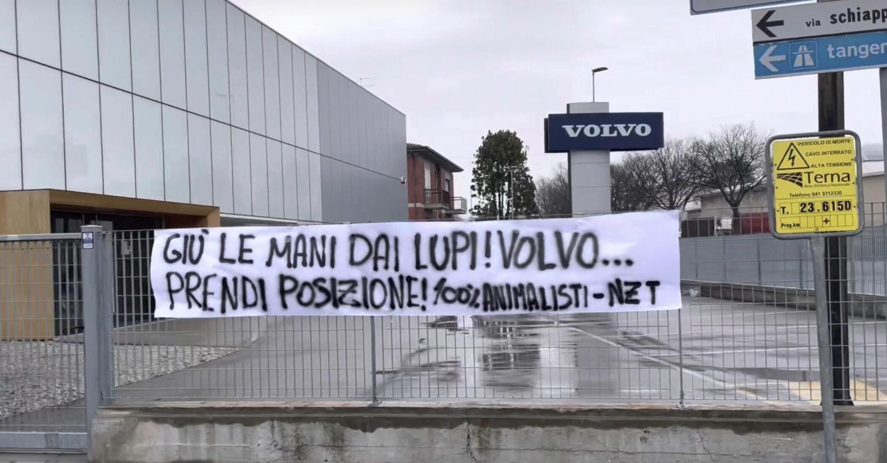 Volvo, Ikea e la caccia ai lupi: a Verona e Padova &egrave; boicottaggio 