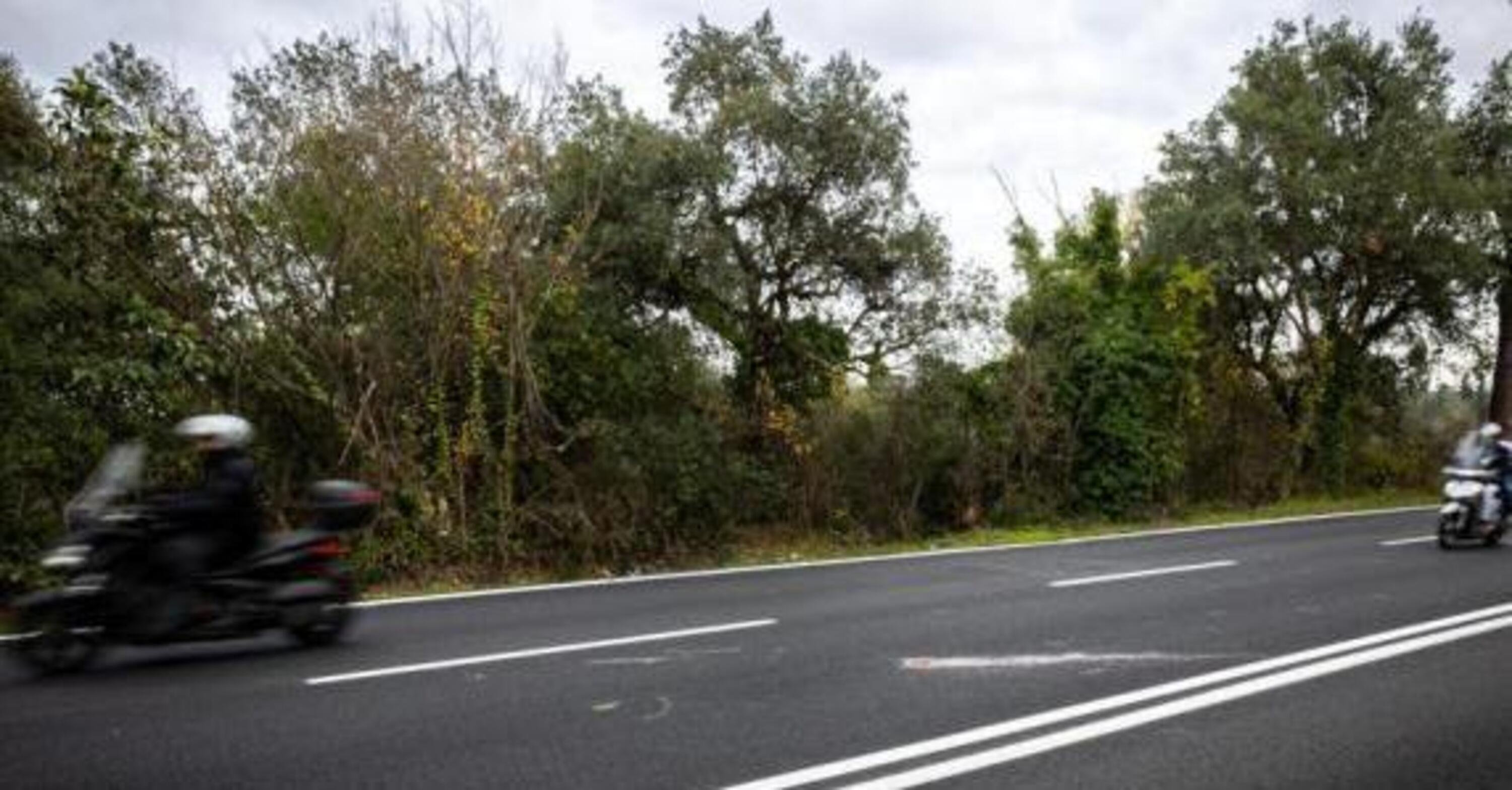 Motociclista grave per colpa di un cinghiale a Roma sulla Cassia