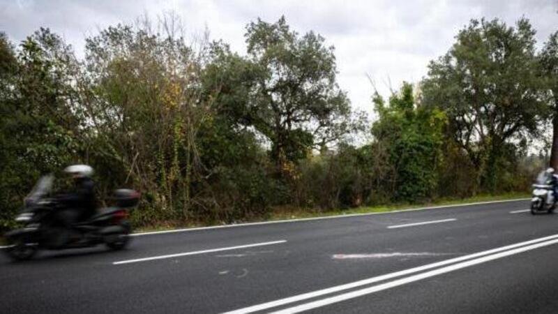 Motociclista grave per colpa di un cinghiale a Roma sulla Cassia