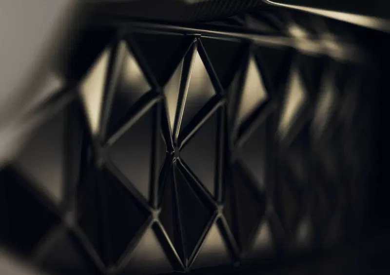 Lotus Eletre (15)