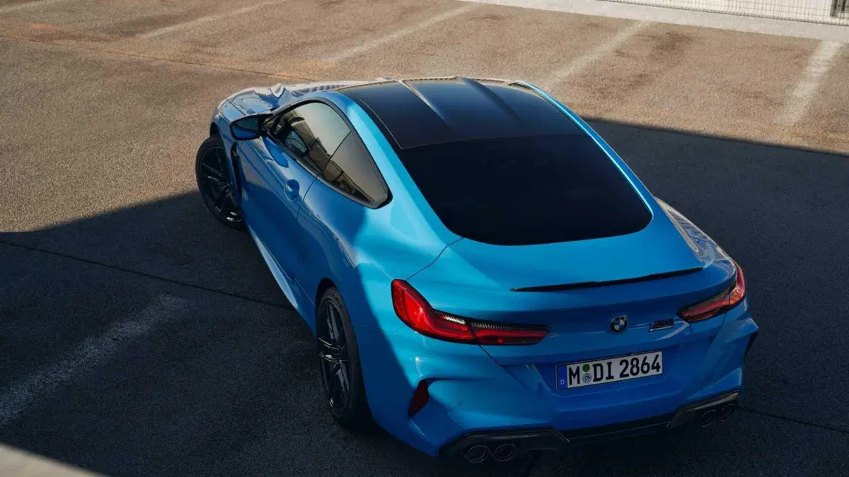 BMW Serie 8 Coupé M8  Competition (6)