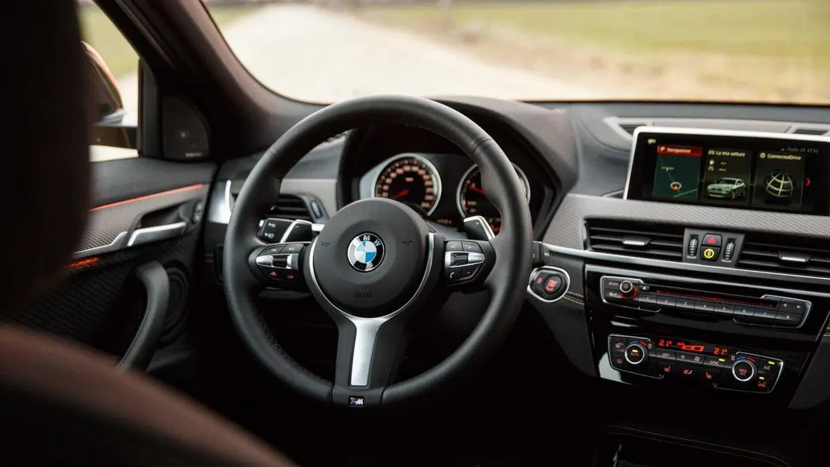 BMW X2 sDrive20d Business-X (14)