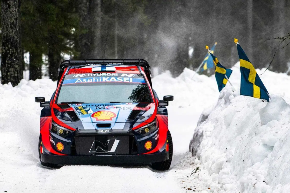 WRC 2023. Rally Sweden. Roba da Chiodi! (8)