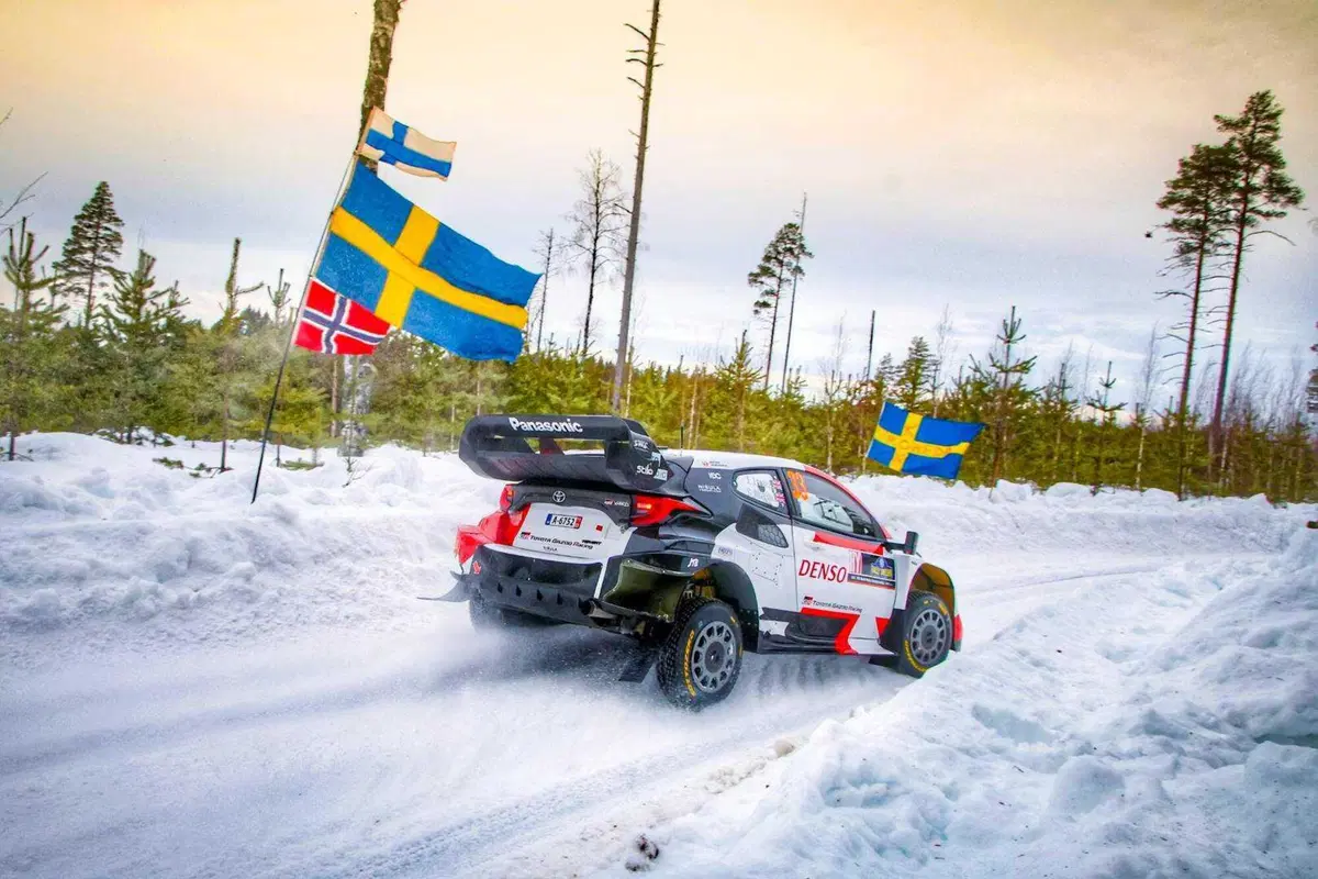 WRC 2023. Rally Sweden. Roba da Chiodi! (9)