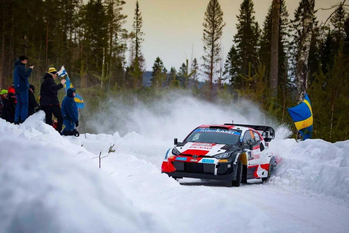 WRC 2023. Rally Sweden. Roba da Chiodi! (10)