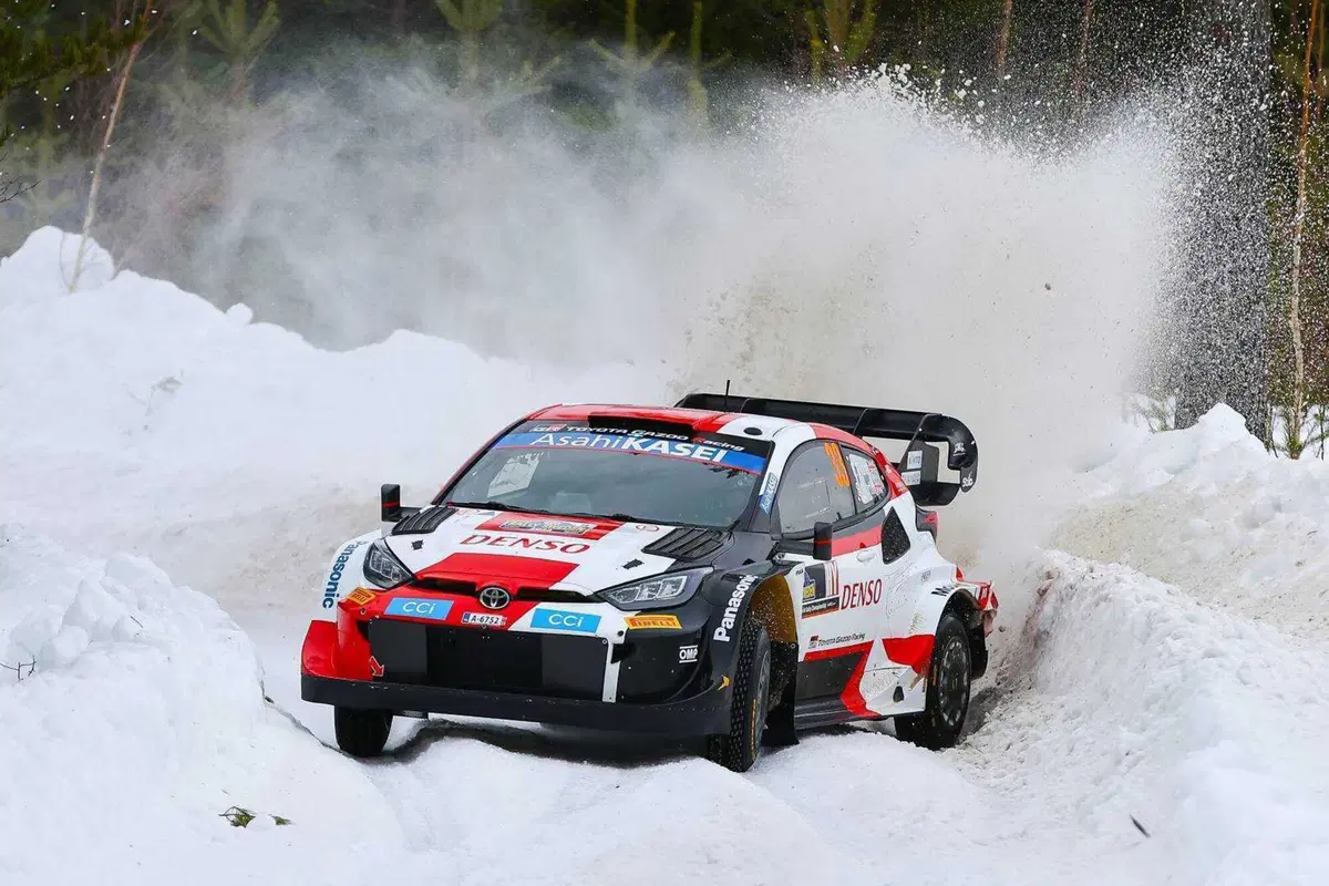 WRC 2023. Rally Sweden. Roba da Chiodi! (11)