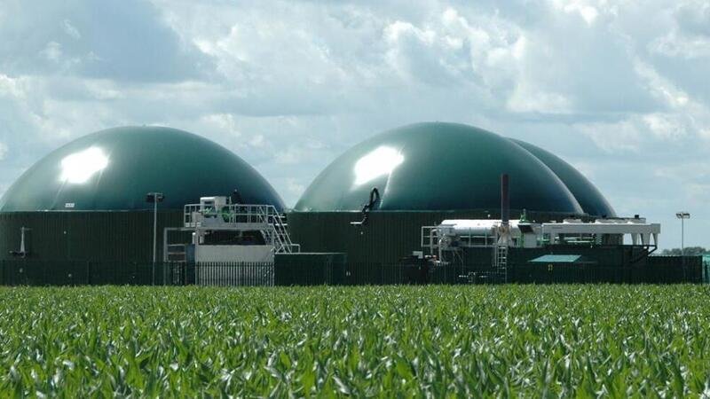 Cento mucche producono circa 30 kg di biogas al giorno