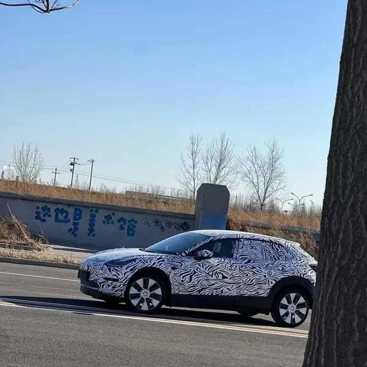 Tesla Model 2 truccata da Mazda CX-30. Le prime immagini dalla Cina (2)