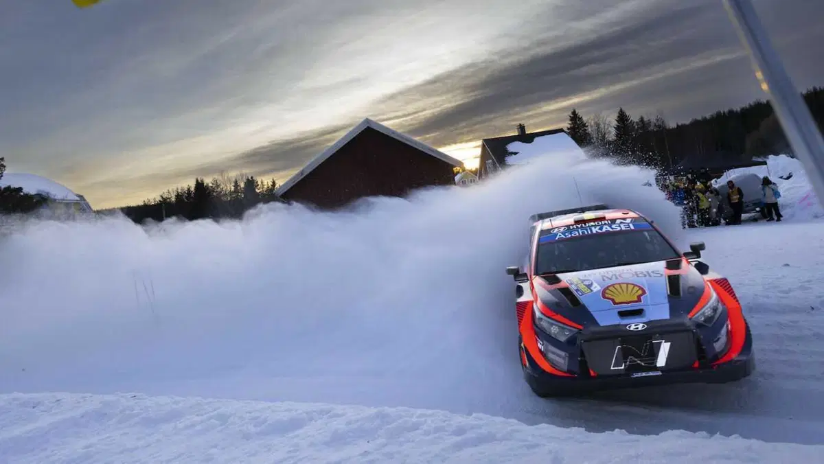 Rally. L’Esplosione degli Eventi che Anticipano la Primavera (6)
