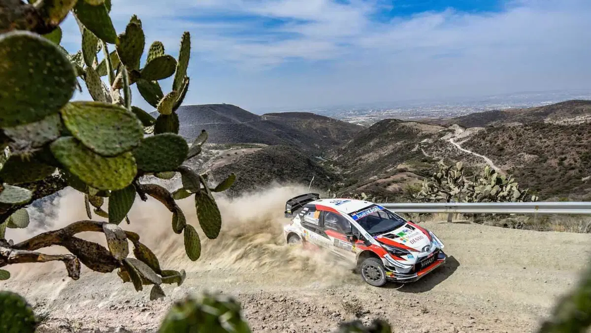 Rally. L’Esplosione degli Eventi che Anticipano la Primavera (8)