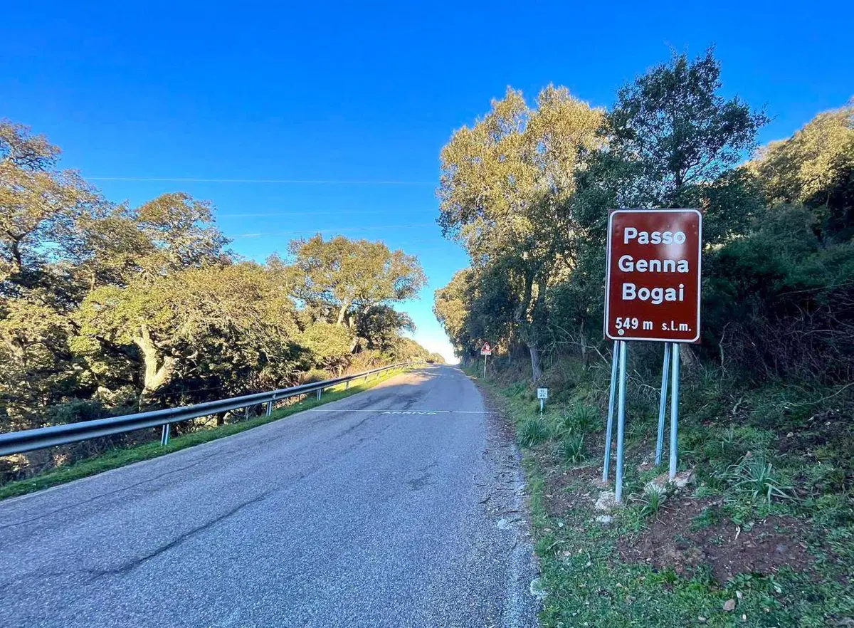 Rally. L’Esplosione degli Eventi che Anticipano la Primavera (17)