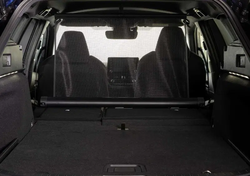 Suzuki Swace (11)