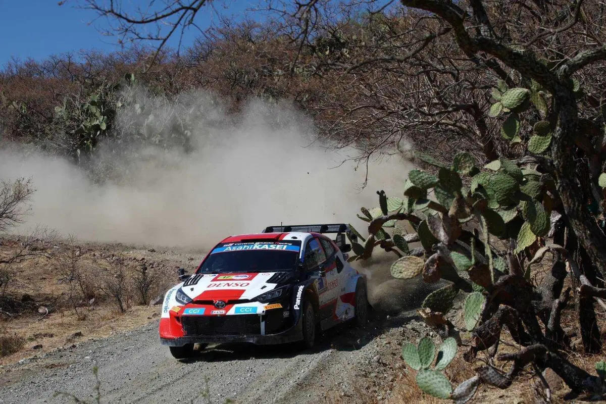 WRC 2023. Mito Rally Guanajuato Mexico, Fari su Tanak (11)