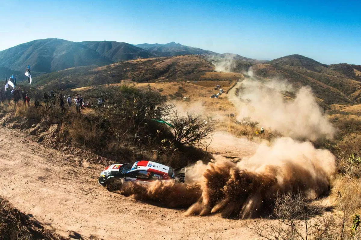 WRC 2023. Rally Guanajuato Mexico D3. Ogier Impossibile, Lappi Out (12)