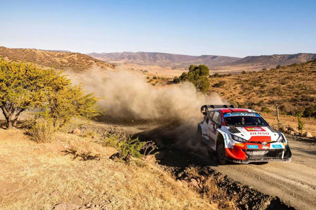 WRC 2023. Rally Guanajuato Mexico D3. Ogier Impossibile, Lappi Out (15)