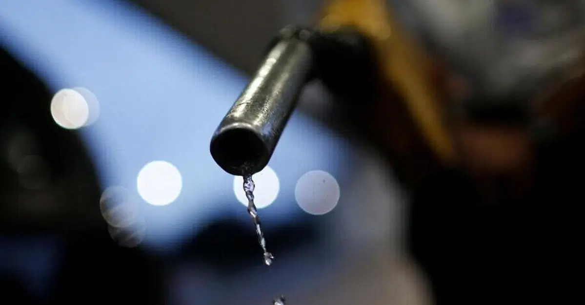Non solo sintetici, anche i carburanti "bio" nel piano europeo: li vuole l'Italia 