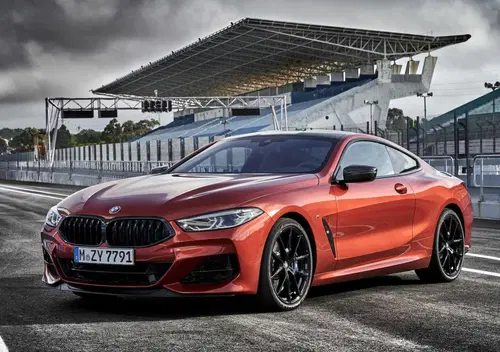BMW Serie 8 Coup&eacute; (2018-25)