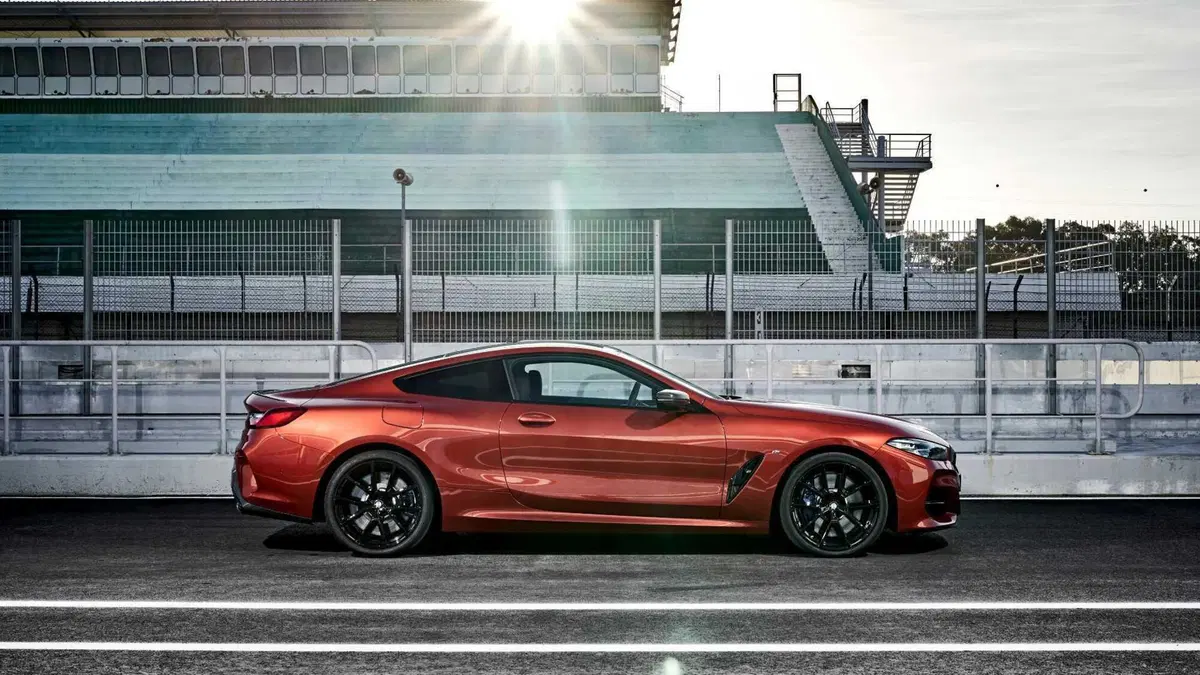 BMW Serie 8 Coupé (2018-25) (8)