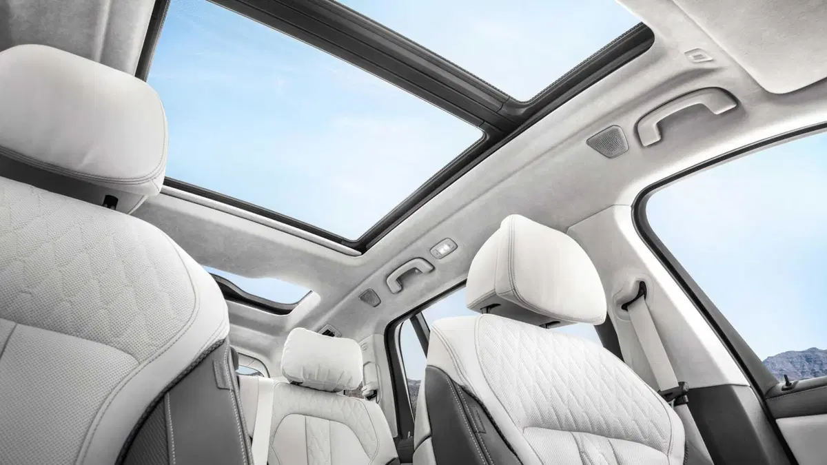 BMW X7 (13)