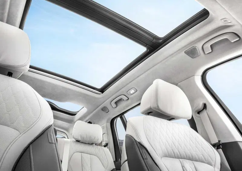 BMW X7 (13)
