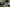 Tesla Vision Park Assist: i sensori non 
