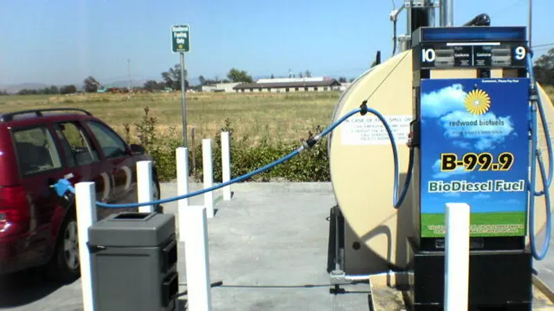 Biofuel: a Sapporo i ministri dell'ambiente G7 hanno deciso 