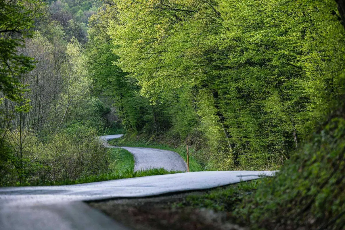 WRC Croazia D1. Neuville, Hyundai, in testa, Ogier e Rovanpera in Ritardo (6)