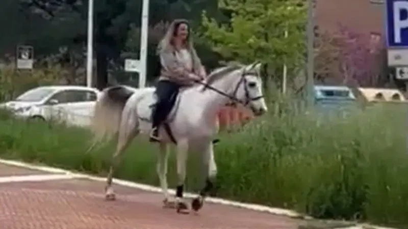 Non mi dai lo smart working? E io chiamo la cavalleria (l'auto &egrave; rotta...) 