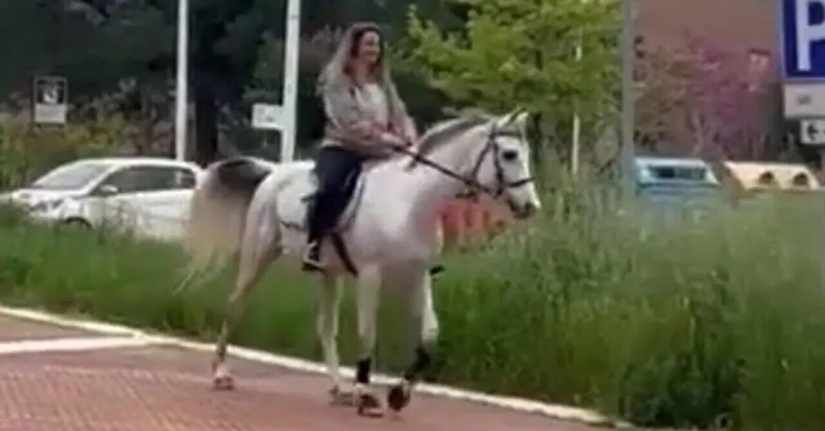 Non mi dai lo smart working? E io chiamo la cavalleria (l'auto &egrave; rotta...) 