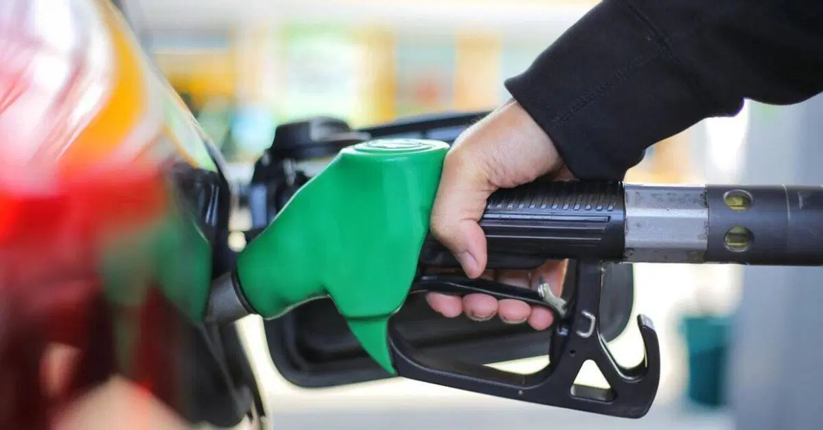 Padova, carburante impuro e danni all'auto: donna risarcita per le riparazioni