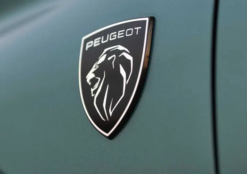 Peugeot 308 SW (2021-->>) (15)