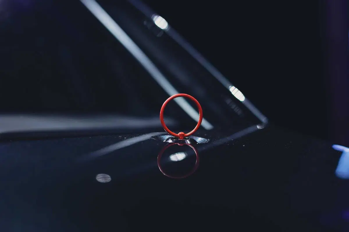 Alpine A-290 beta: vista dal vivo è ancora più effetto R5 Turbo [VIDEO] (13)