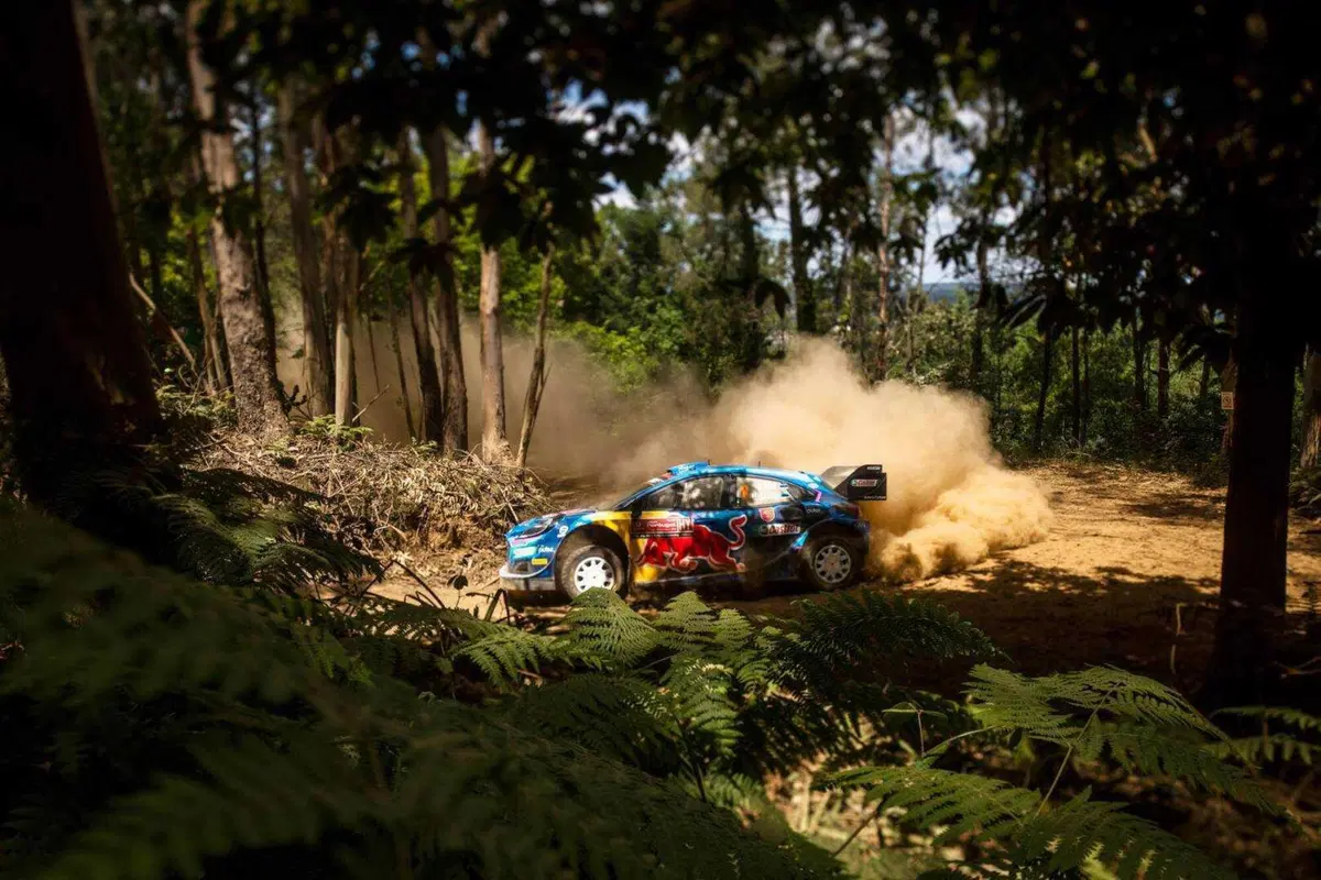 WRC 2023 Portogallo. Rovanpera e Toyota di Nuovo in Volo (8)