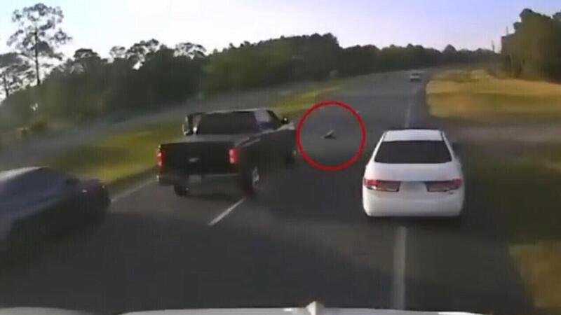 Si ferma per lasciar passare una tartaruga sulla strada ma &egrave; subito crash [VIDEO]