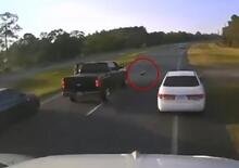 Si ferma per lasciar passare una tartaruga sulla strada ma è subito crash [VIDEO]