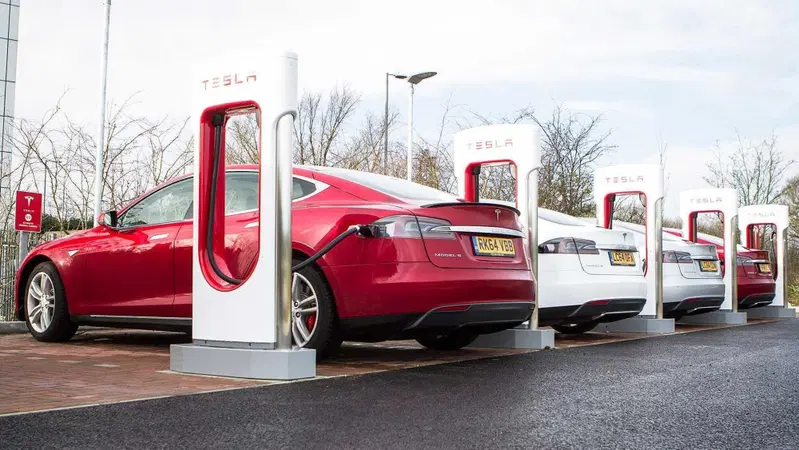 Ford e Tesla si alleano per la ricarica negli USA. Elon: "Ho grande rispetto per loro" 