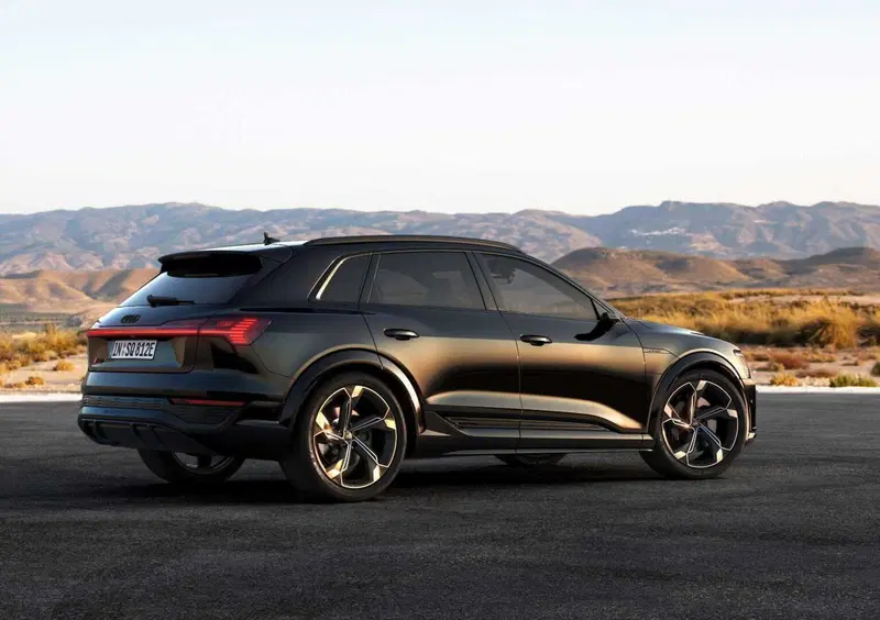 Audi SQ8 (2023-25) (3)