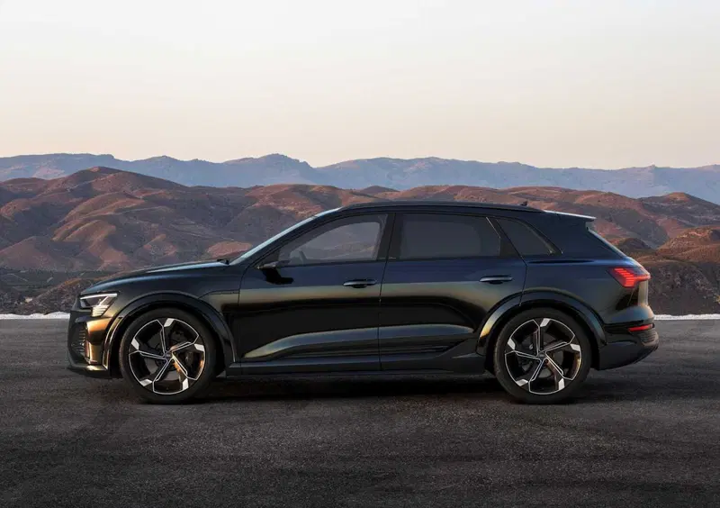Audi SQ8 (2023-25) (6)
