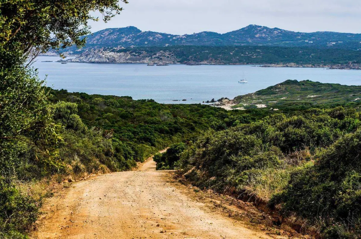 WRC23 Italia Sardegna. Finalmente è Neuville e Hyundai. Fine del Thriller (5)